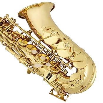 sota sax  P. Mauriat Derek Brown BEATBoX SAX, System-76 Tenor